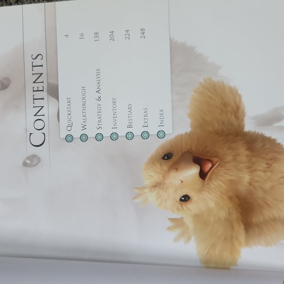 COPY - FINAL FANTASY strategy guide - Picture 9 of 11